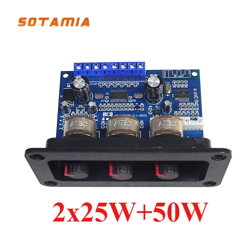 Home Cinema Subwoofer - SOTAMIA Bluetooth 5.0 Power Amplifier Audio