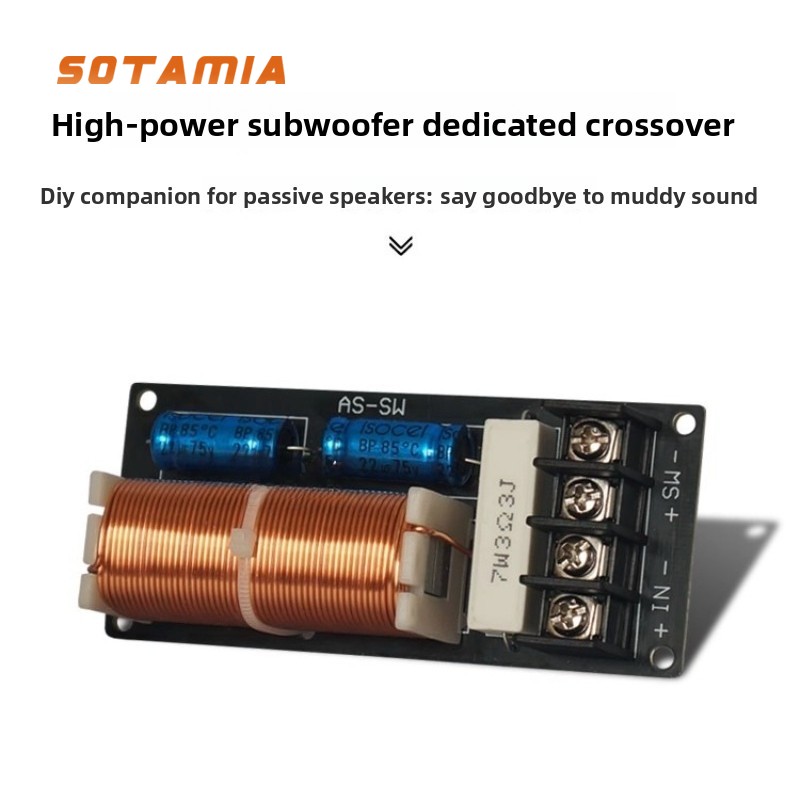 Home Cinema Subwoofer - SOTAMIA High Power Passive Subwoofer Dedicated