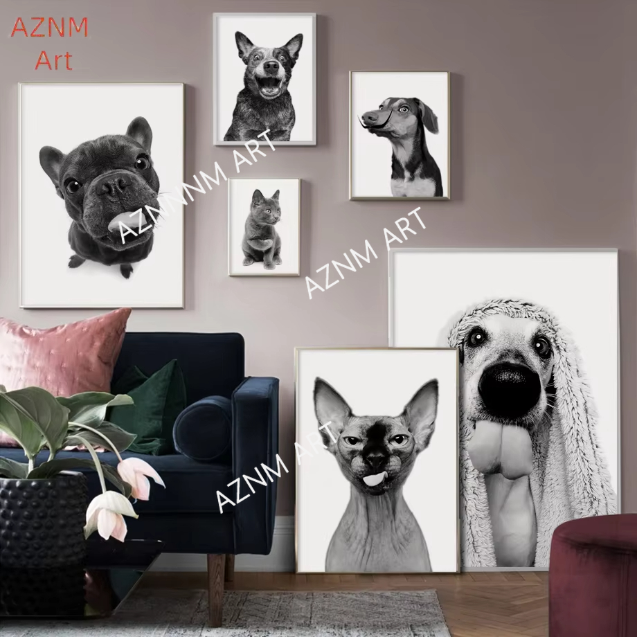 Sphinx Cat French Bulldog Anim - Home Cinema Classic incelemesi ve fiyatı