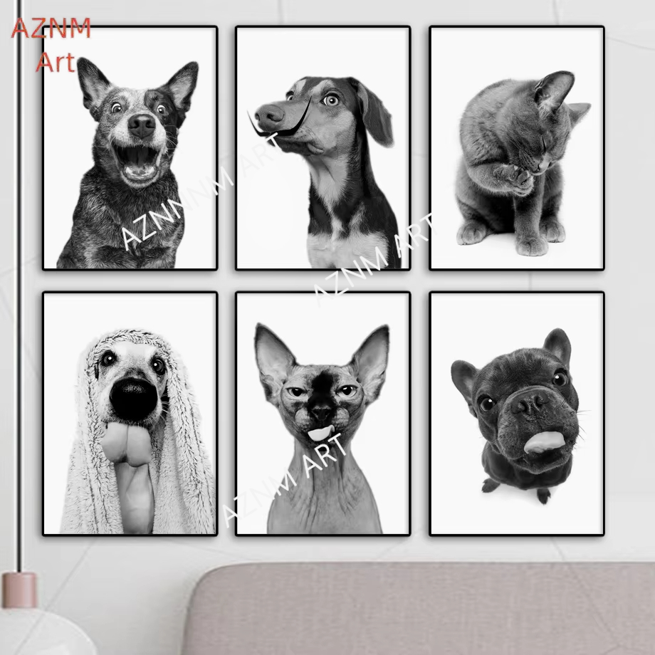 Sphinx Cat French Bulldog Anim - Home Cinema Classic incelemesi ve fiyatı